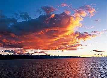 肉鸽游戏《怪物大厨》Steam页面上线 支持中文